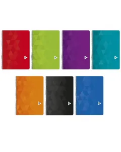Cahier 24x32 cm Petits carreaux - 100 pages