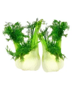 Fenouille