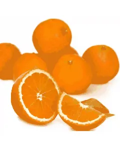 Orange maltaise à jus