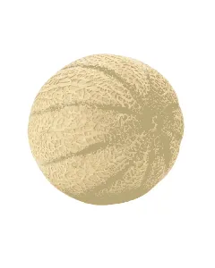 Melon Cantaloup