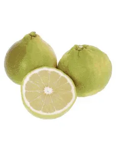 Bergamote 
