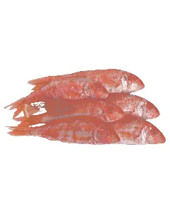 Rouget rouge