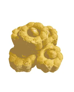 Ghraiba aux noisettes