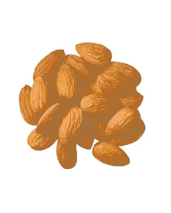 Amandes de Californie
