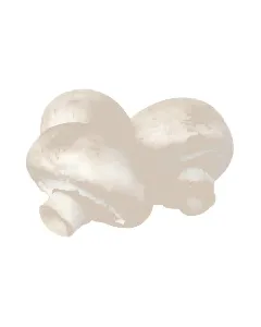 Champignon entier en barquette