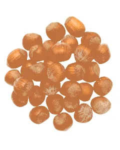 Noisette en coque