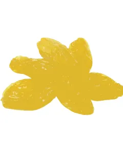 Raisons secs golden jumbo