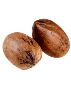 Noix de Pecan en coque