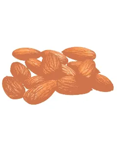 Amandes achek salées