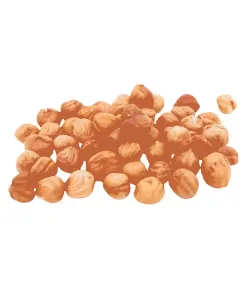 Noisettes décortiquées