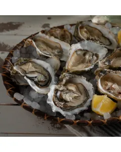 Huîtres la douzaine