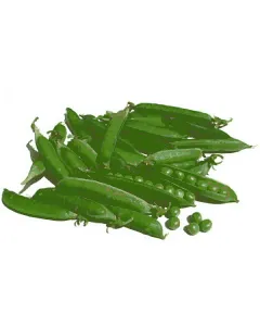 Petit pois