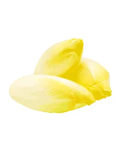 Endive