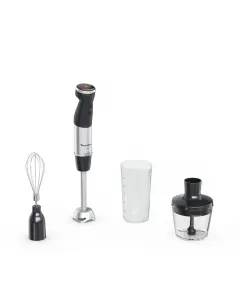 Mixeur plongeant 3en 1 Noir