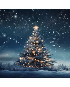 Lot de 20 Serviettes 3 plis Sapin Nuit