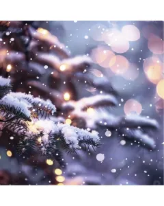 Lot de 20 Serviettes 3 plis Sapin Neige