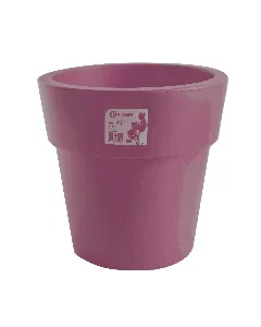 Pot violet