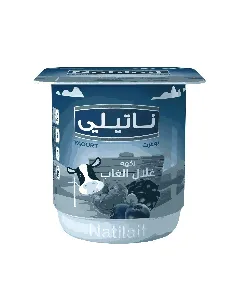 Yaourt fruits des bois