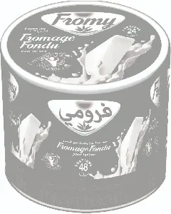 Fromage fondu &agrave; tartiner