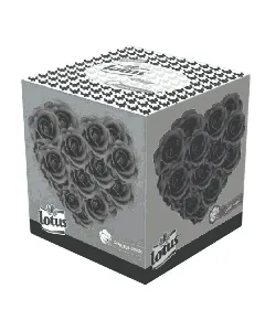 Distributeur papier cubique Girly 2 plis