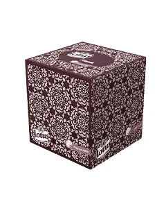 Distributeur papier cubique Fiesta 2 plis