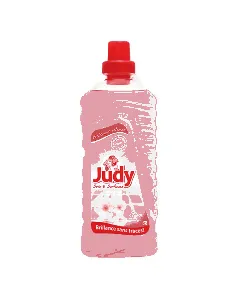 Nettoyant sols et surface Brise