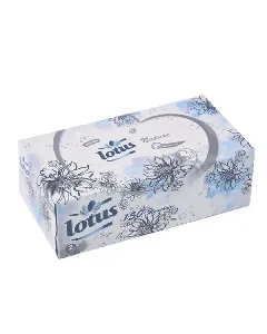 Distributeur papier nature Confort 2 plis