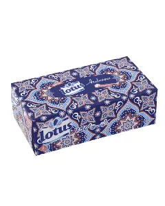 Distributeur papier arabesque Confort 2 plis