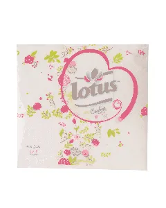 Serviettes de table 1 pli 30x30cm Confort