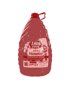 Désodorisant Lavande 5L