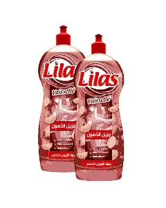 Lot de 2 flacons liquide vaisselle citron vert