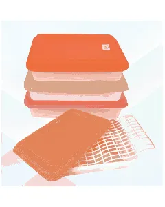 Boîte de conservation Food Savers