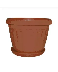 Bac à plantes Jasmin