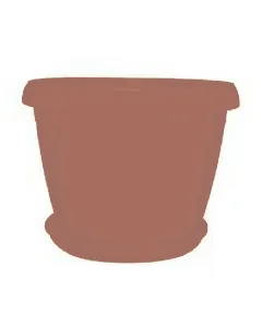 Bac à plantes Jasmin