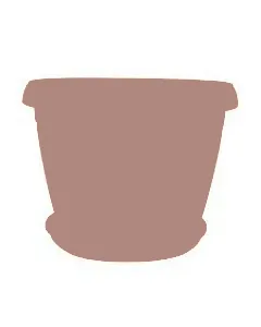 Bac à plantes Jasmin