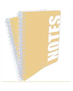 Cahier WIREO A4 travers 300 pages