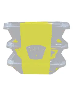 Lot de 3 boites de Chamia