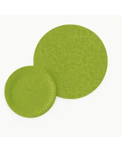 Lot de 20 assiettes en carton junior