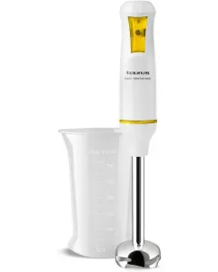 Mixeur Plongeant 750W Inox