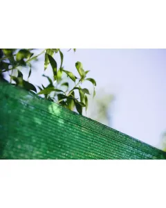 Brise-vue 1x10m Vert