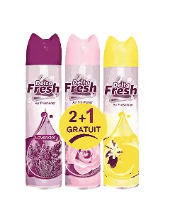 Lot de 3 flacons désodorisant