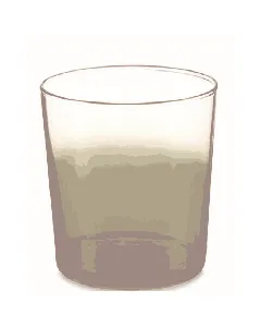 Lot de 6 verres Bistro Workshop