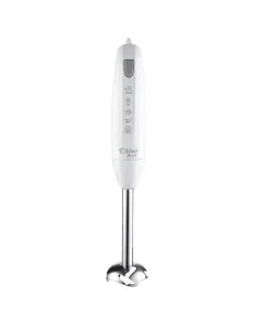 Mixeur plongeant 300W