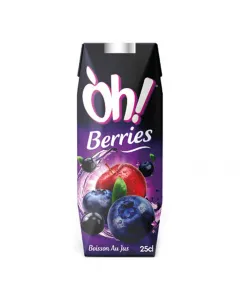 Boisson au jus Berries