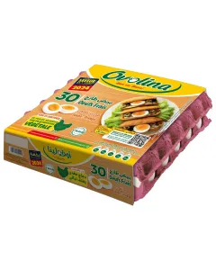 Œufs Ovolina frais jaune orange