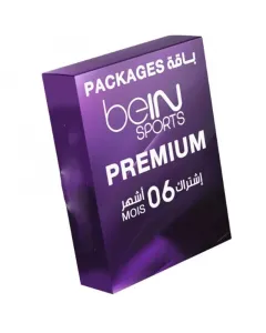 Pack BEIN sport Premium 6 mois + Récepteur Gratuit