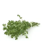 Thym séché