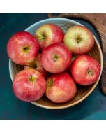 Pomme 