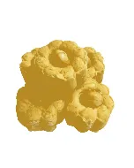 Ghraiba aux noisettes