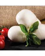 Fromage mozzarella